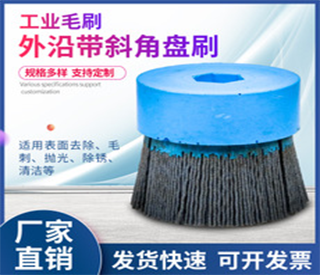 Deburring disc brush for rust removal and cleaning