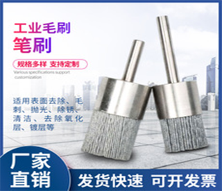 上海Silicon carbide brush